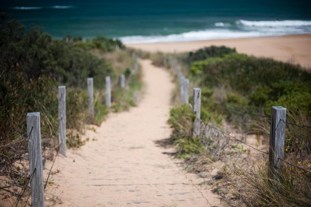 dunes_path